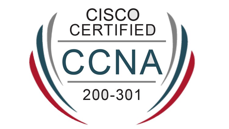 Comprehensive 6 Practice Exams structured into the official domains of the CCNA exam