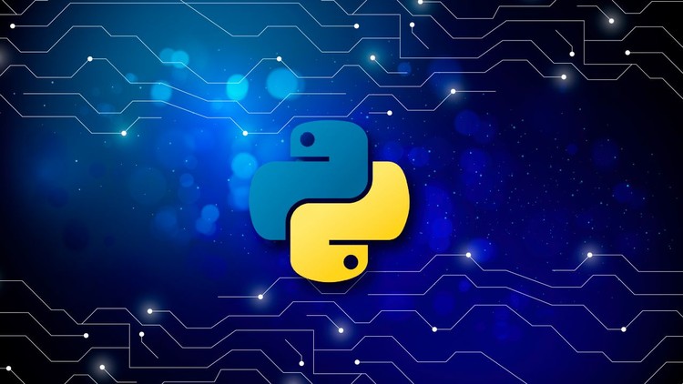 Python Pro: Master Programming and Problem-Solving Skills