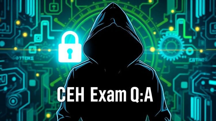 Certified Ethical Hacking (CEH) 312-50v12 Exam Q&A (2025)