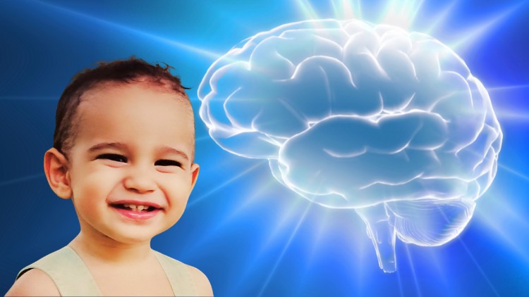 Boost child cognitive growth and support their brain development through nutritious diet that covers all their needs.