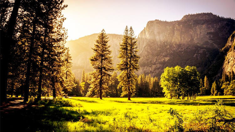 Ecology, Ecosystem, Sustainability, Climate change, Circular Economy, Ecologist, Environmental Science, Biology