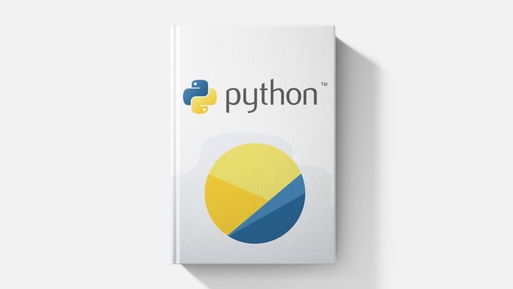 The professional Python guide for beginners in 2024