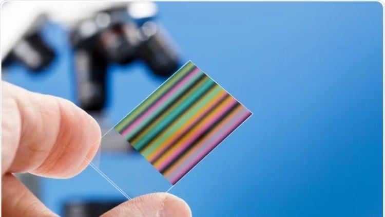 Unveiling the Essence: The Importance of Molecular Biology & Chromatography Techniques