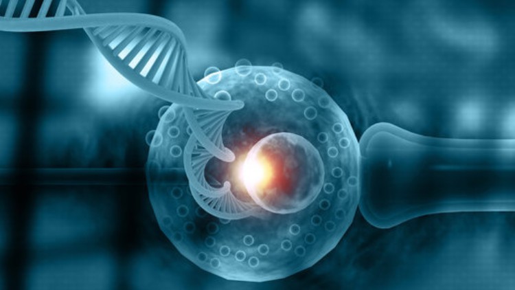 Navigating the Frontiers of Reproductive Medicine With Clinical Embryology