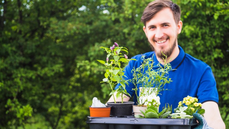 Build a DIY system, master nutrients, pH, system design, greenhouse operation & launch a business.